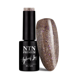 Gellack NTN Premium Celebration 166 brun glitter 5g